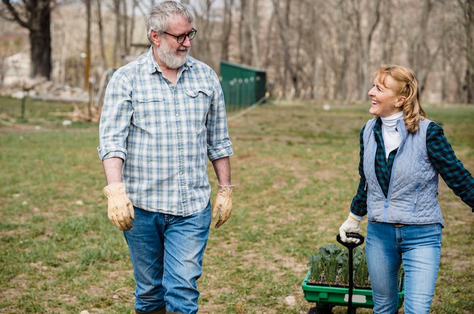 Couple of cheerful middle aged farmers walking together on farmland and carrying wheelbarrow with various fresh green plants while looking at each other in daytime