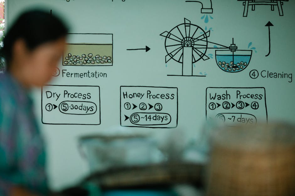 Whiteboard illustration of coffee processing steps with blurred figure in foreground.